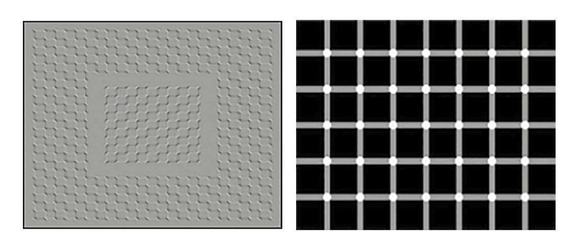 Relación entre geometría de los gráficos y percepción humana (ilusiones ópticas). Fuente: imágenes construidas por el psicólogo experimental Akiyoshi Kitaoka, en http://www.psy.ritsumei.ac.jp/~akitaoka/motion20e.html.
